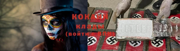 дмт Инта