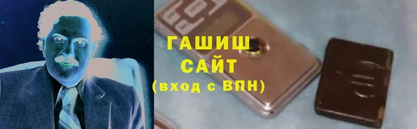 дмт Инта