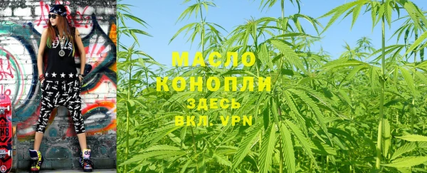 дмт Инта