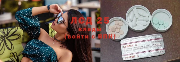ПСИЛОЦИБИНОВЫЕ ГРИБЫ Зеленокумск