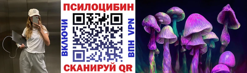 Купить  Канаш  Псилоцибиновые грибы Psilocybine cubensis 